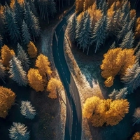 Sexy Road - Очаровательая Дорога